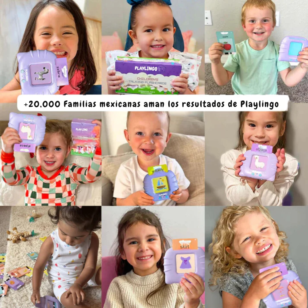 Lector de cartas Ingles-Español